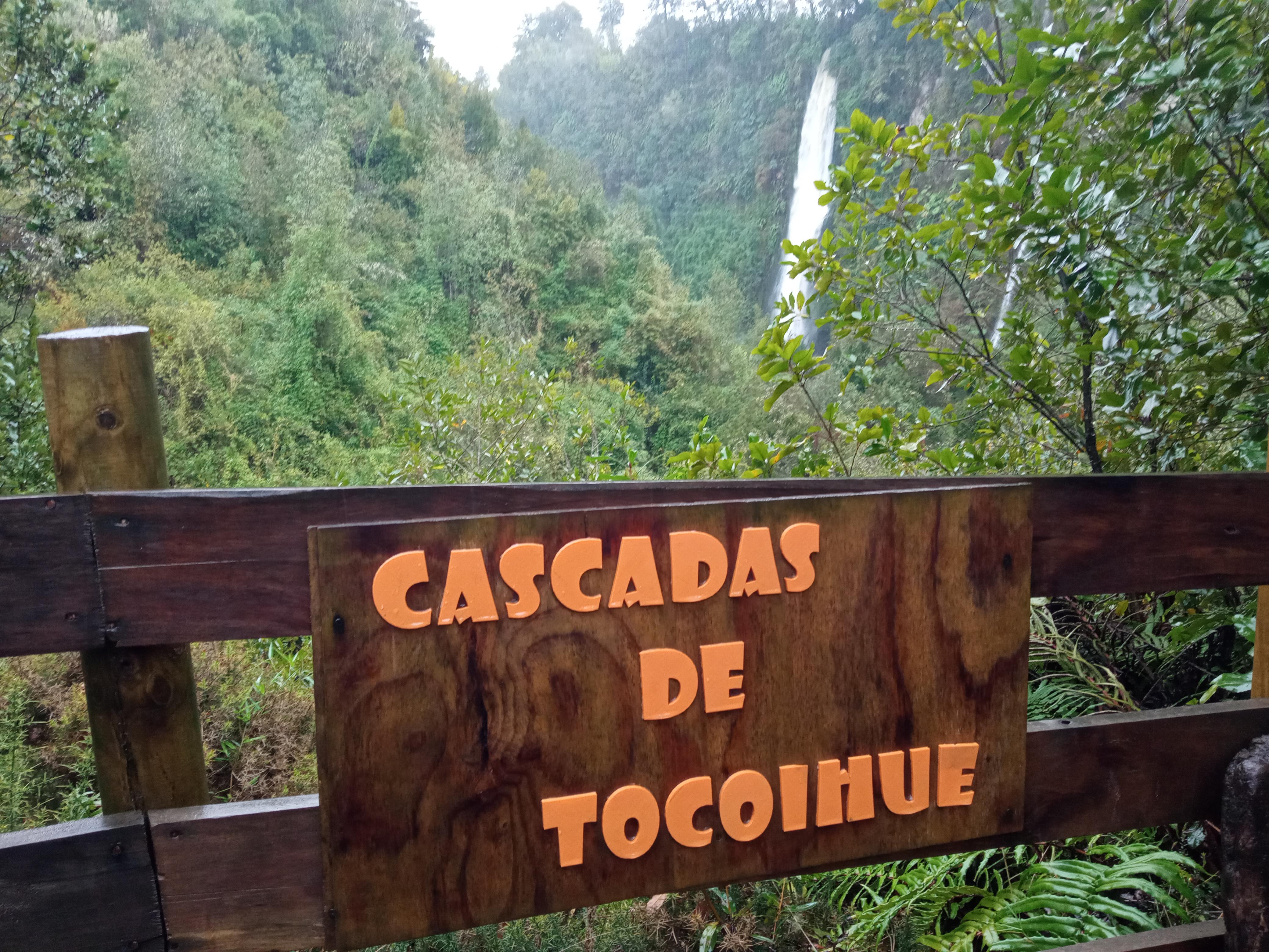 Mirada ascendente hacia copa de árboles y borde superior de la cascada